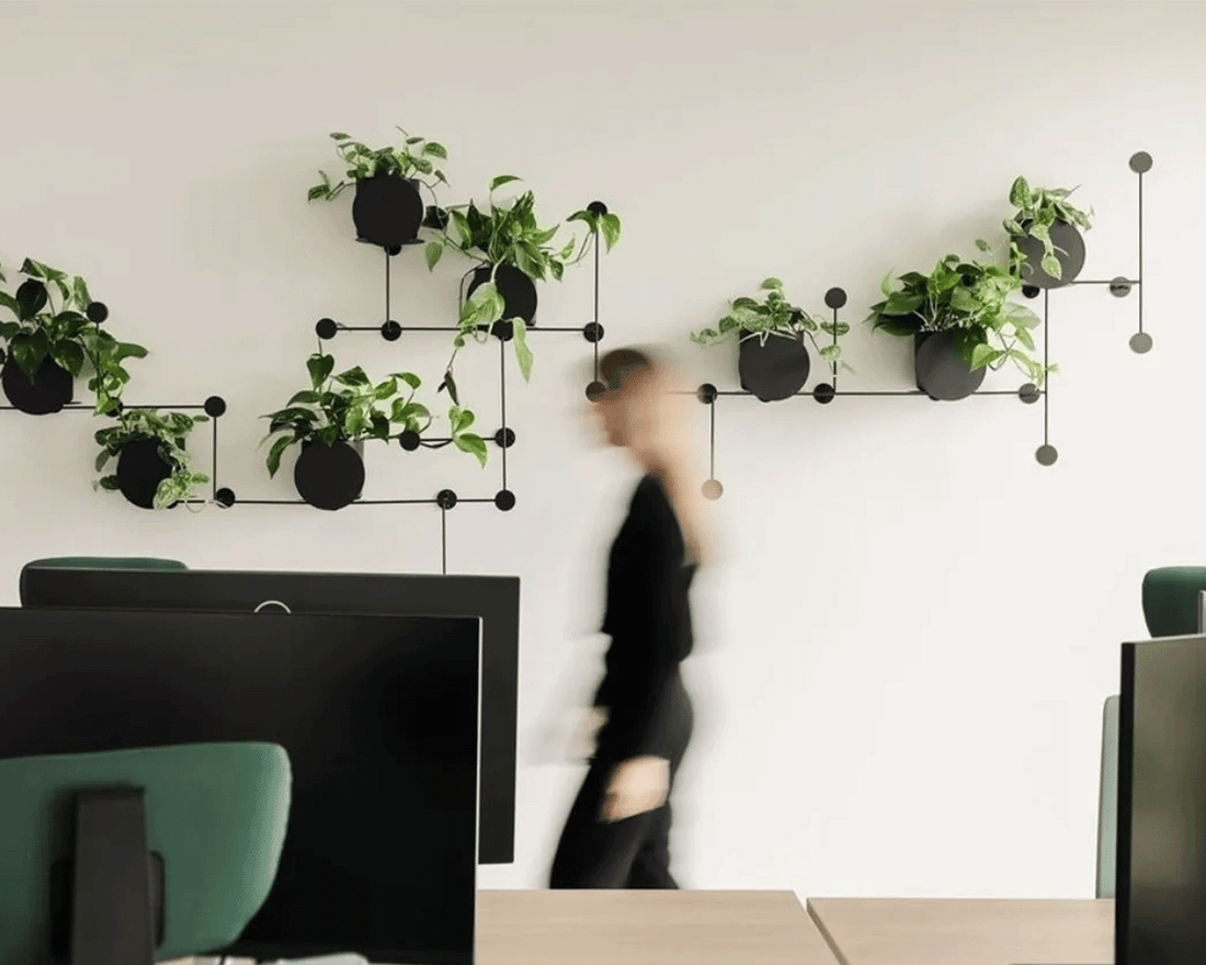 5 Easy-to-Care-For Office Plants for a Living Workspace