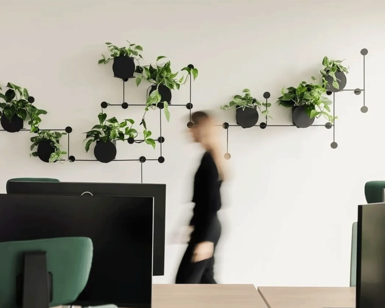 5 Easy-to-Care-For Office Plants for a Living Workspace