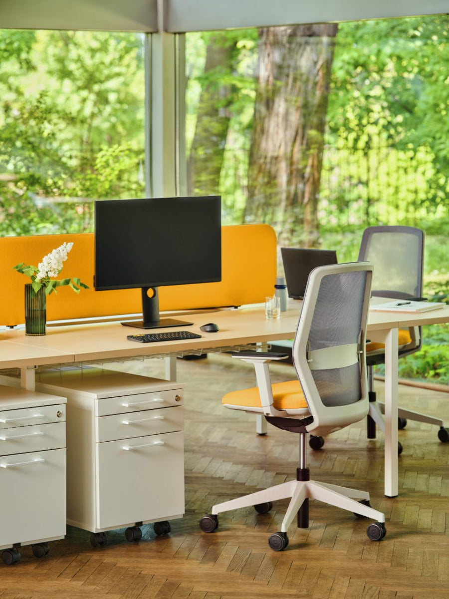 Standard mobile pedestal