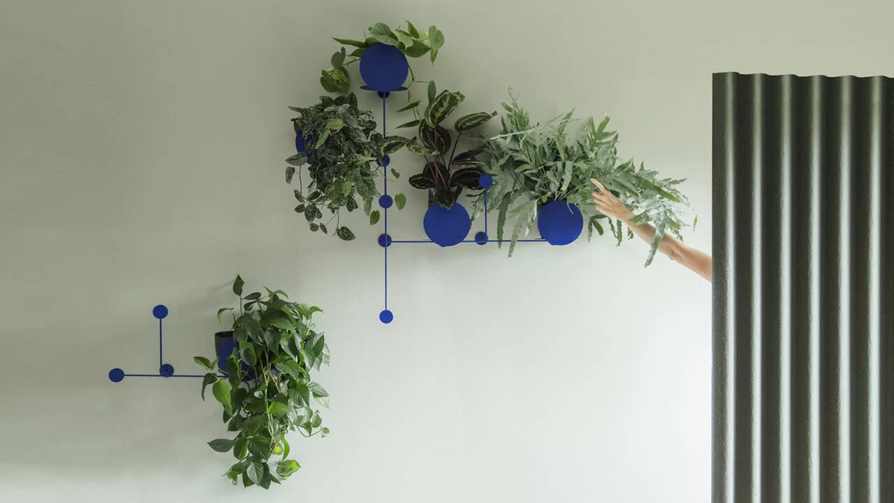 FLOOS Plant hanger