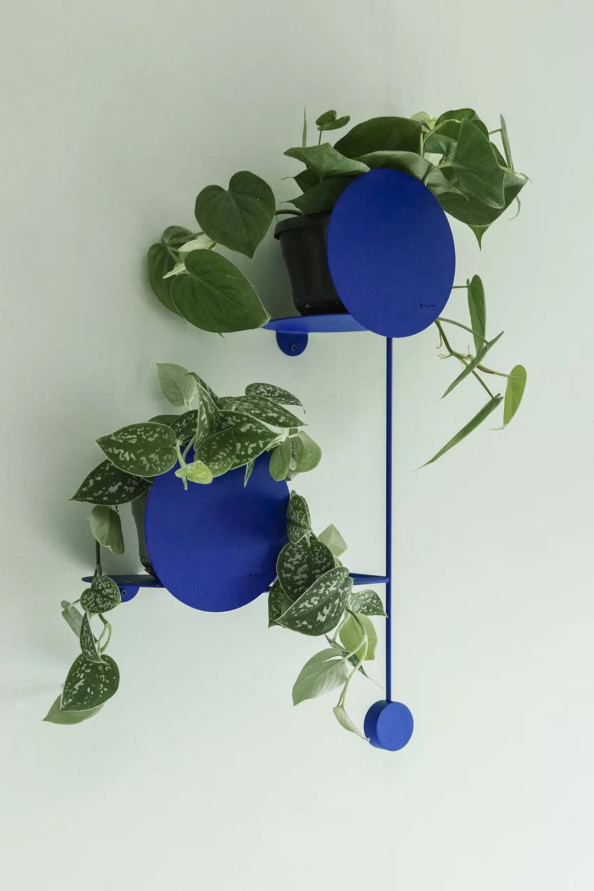 FLOOS Plant hanger