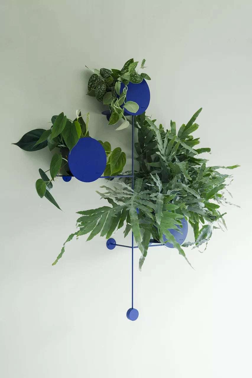FLOOS Plant hanger