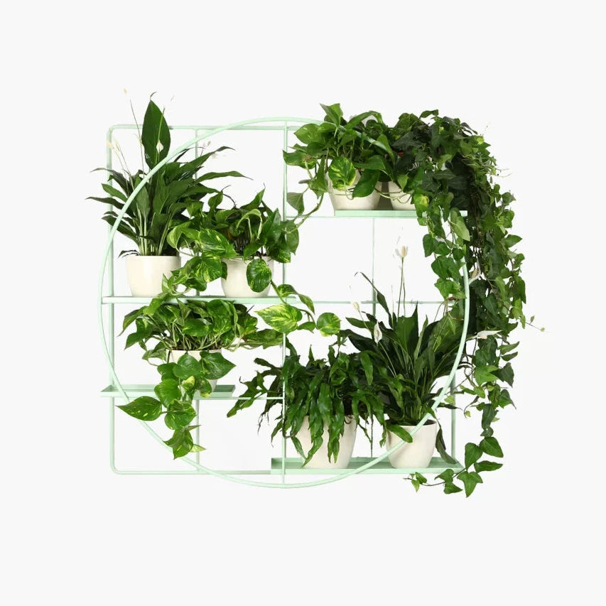 M:OD Modular Wall Plant System