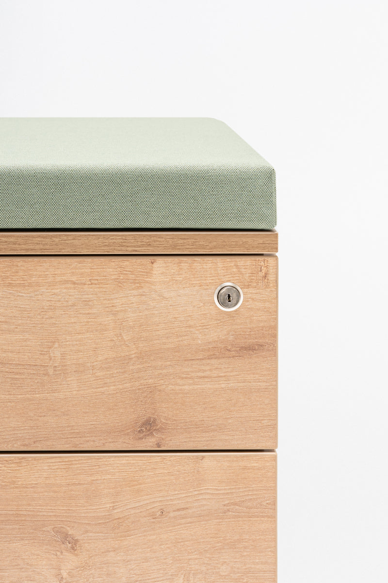 Pedestal cushion for pedestal