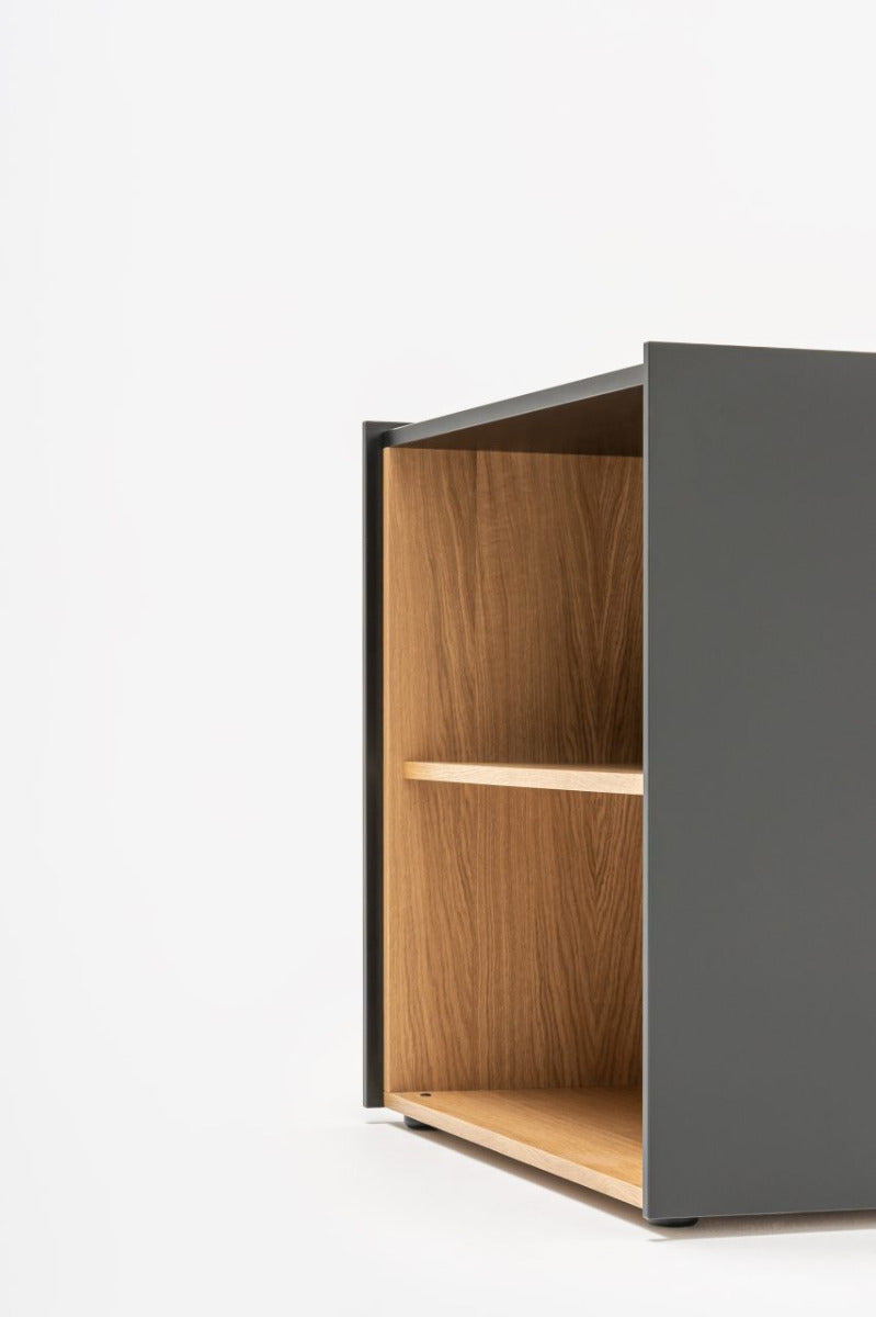 Viga bookcase
