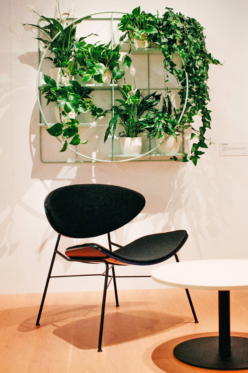 M:OD Modular Wall Plant System