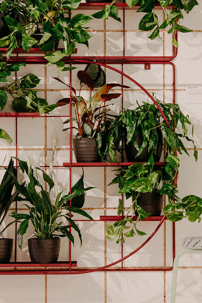 M:OD Modular Wall Plant System
