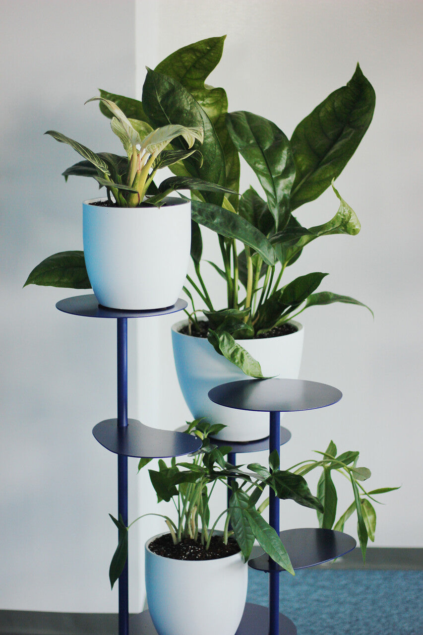 TILLO Multi-Plant Stand