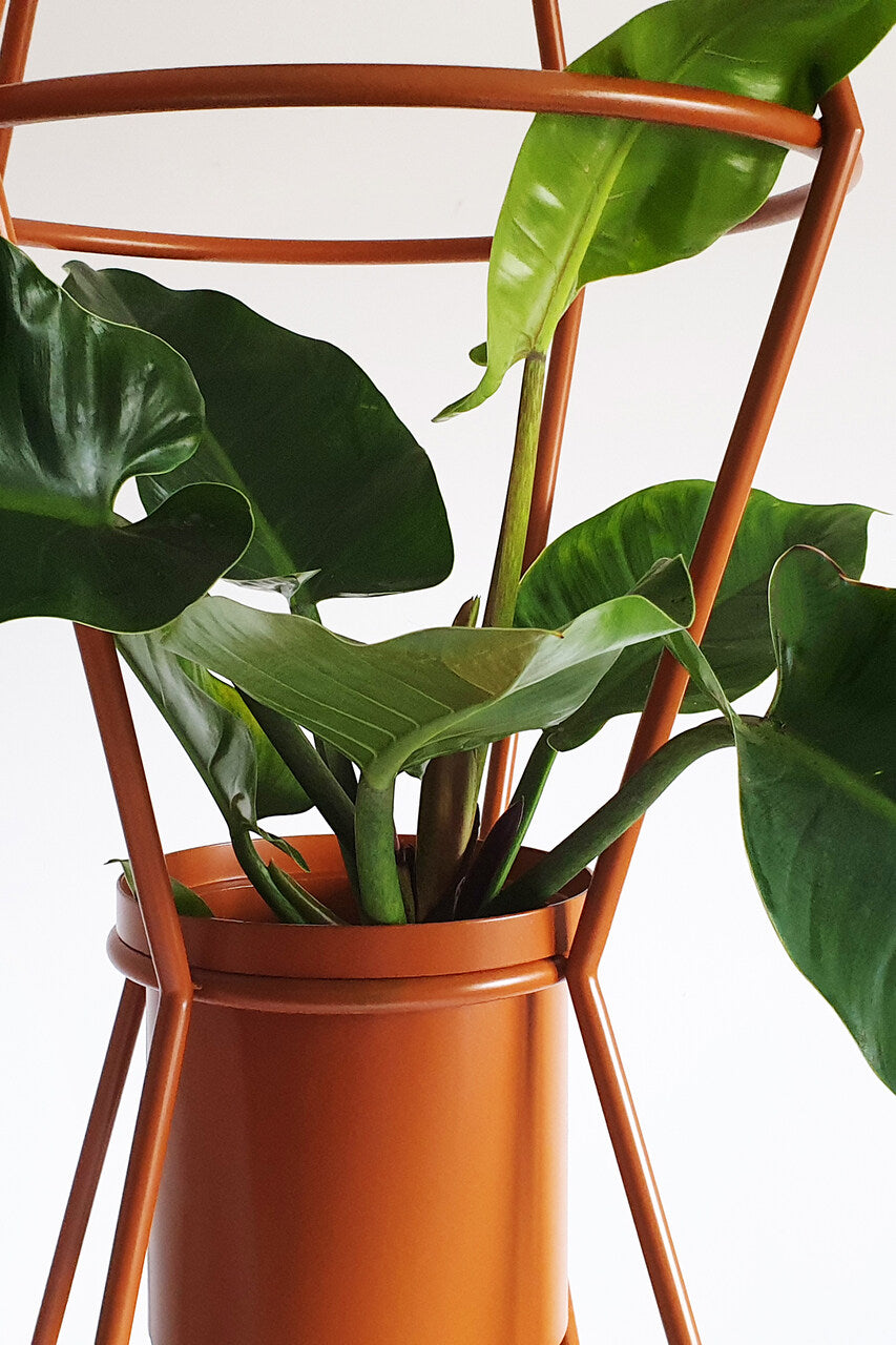 TOTEM Modulares Pflanzenregal