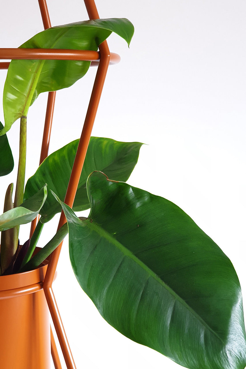 TOTEM Modulares Pflanzenregal