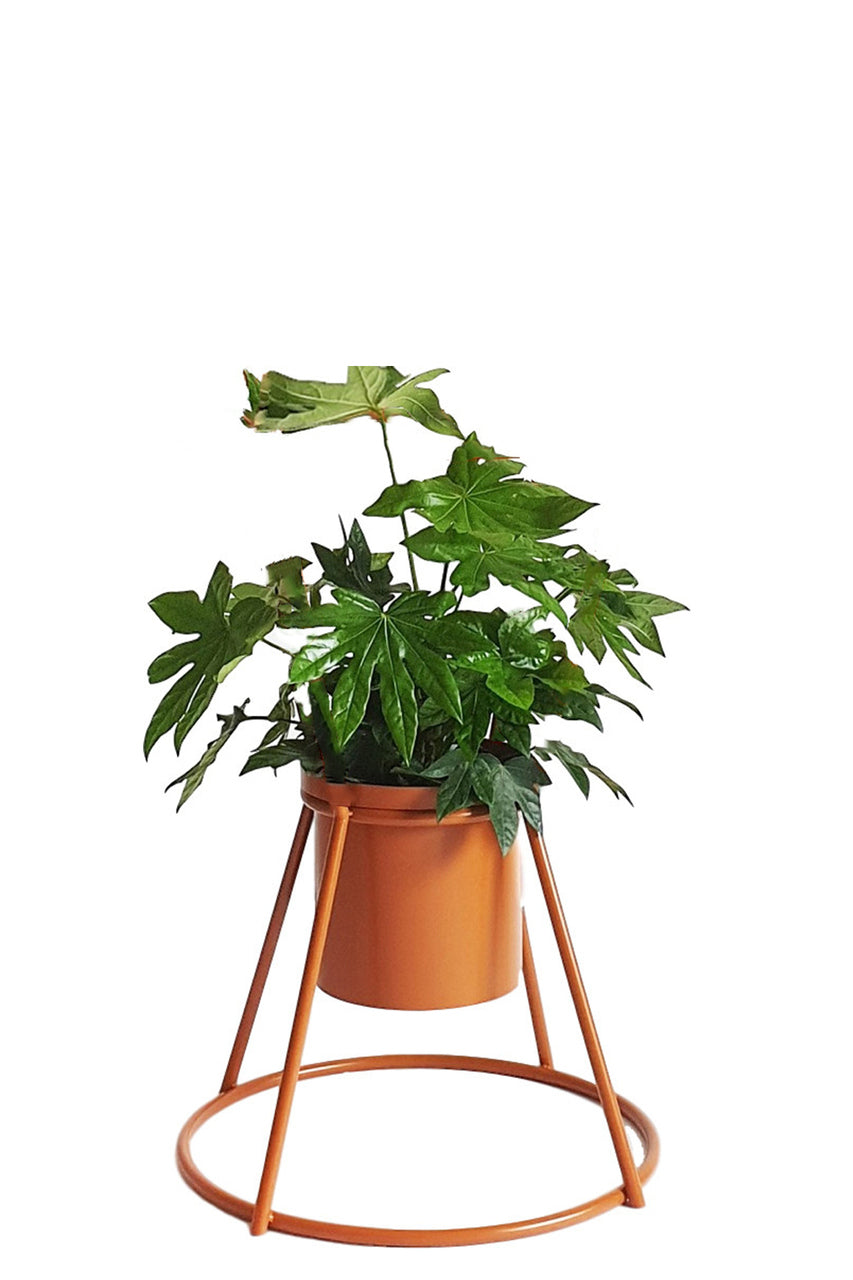 TOTEM Modulares Pflanzenregal