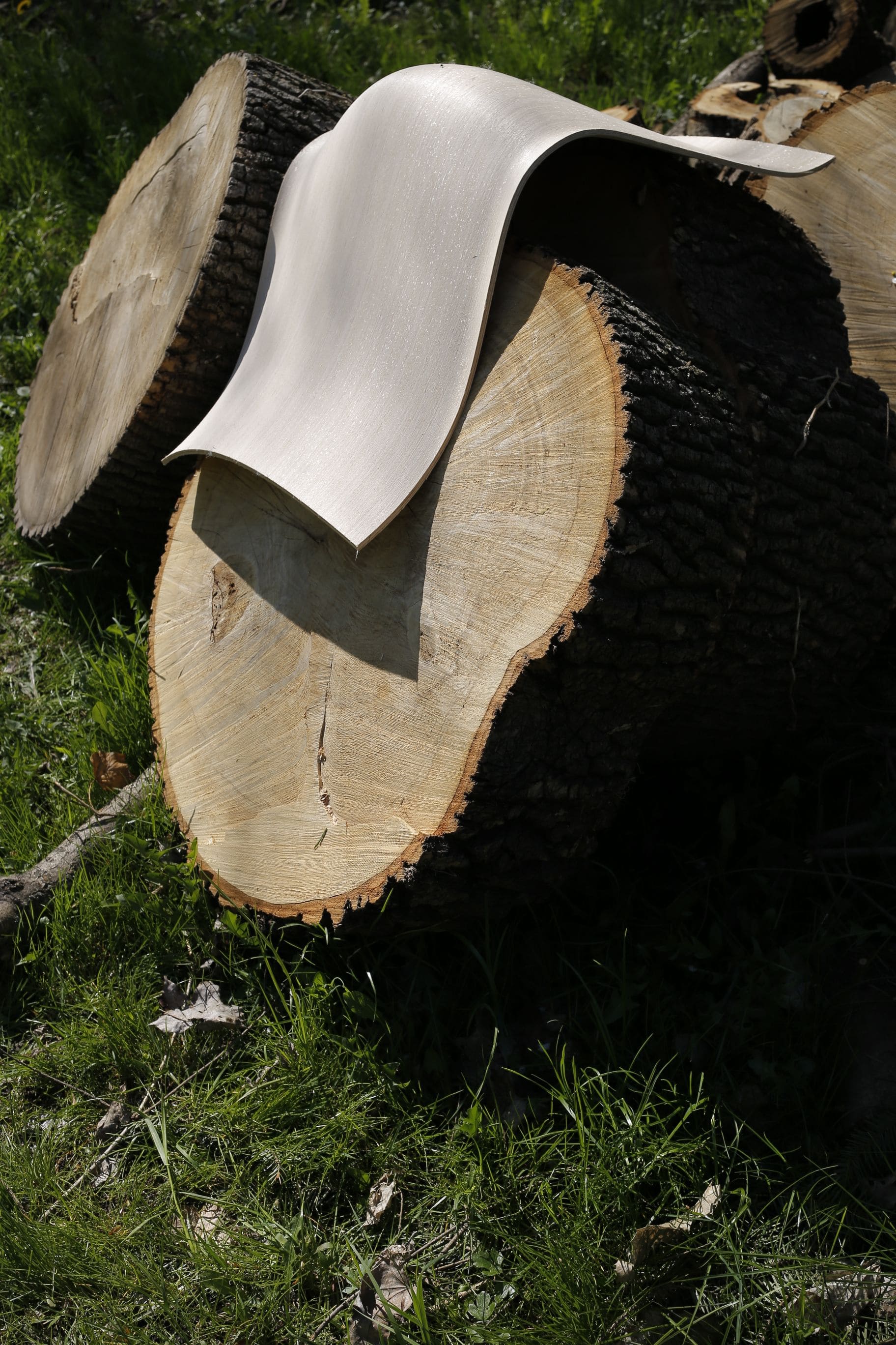 PEEL-Konferenzvorsitzende