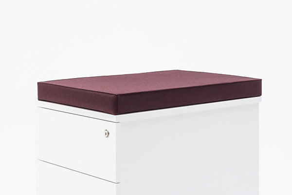 Pedestal cushion for pedestal