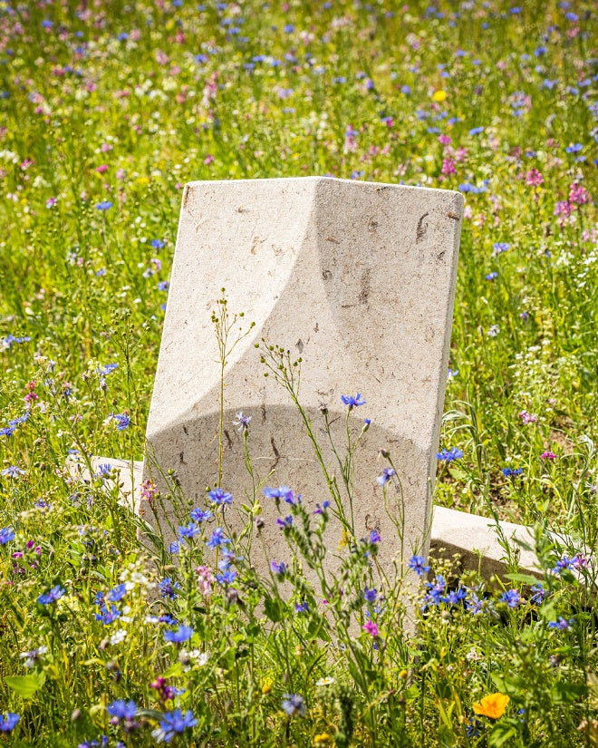 ELLIPSE Acoustic Pod