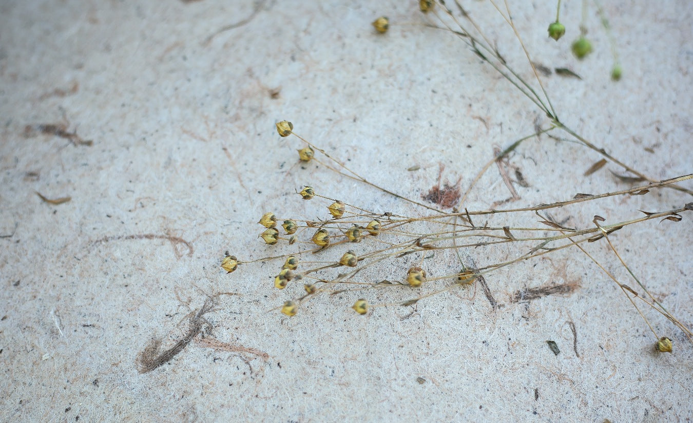 ELLIPSE Acoustic Pod