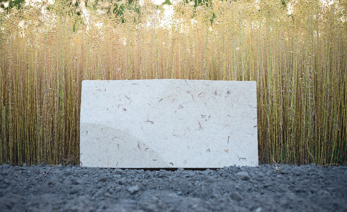 ELLIPSE_GLOBE Akustikwandpaneele