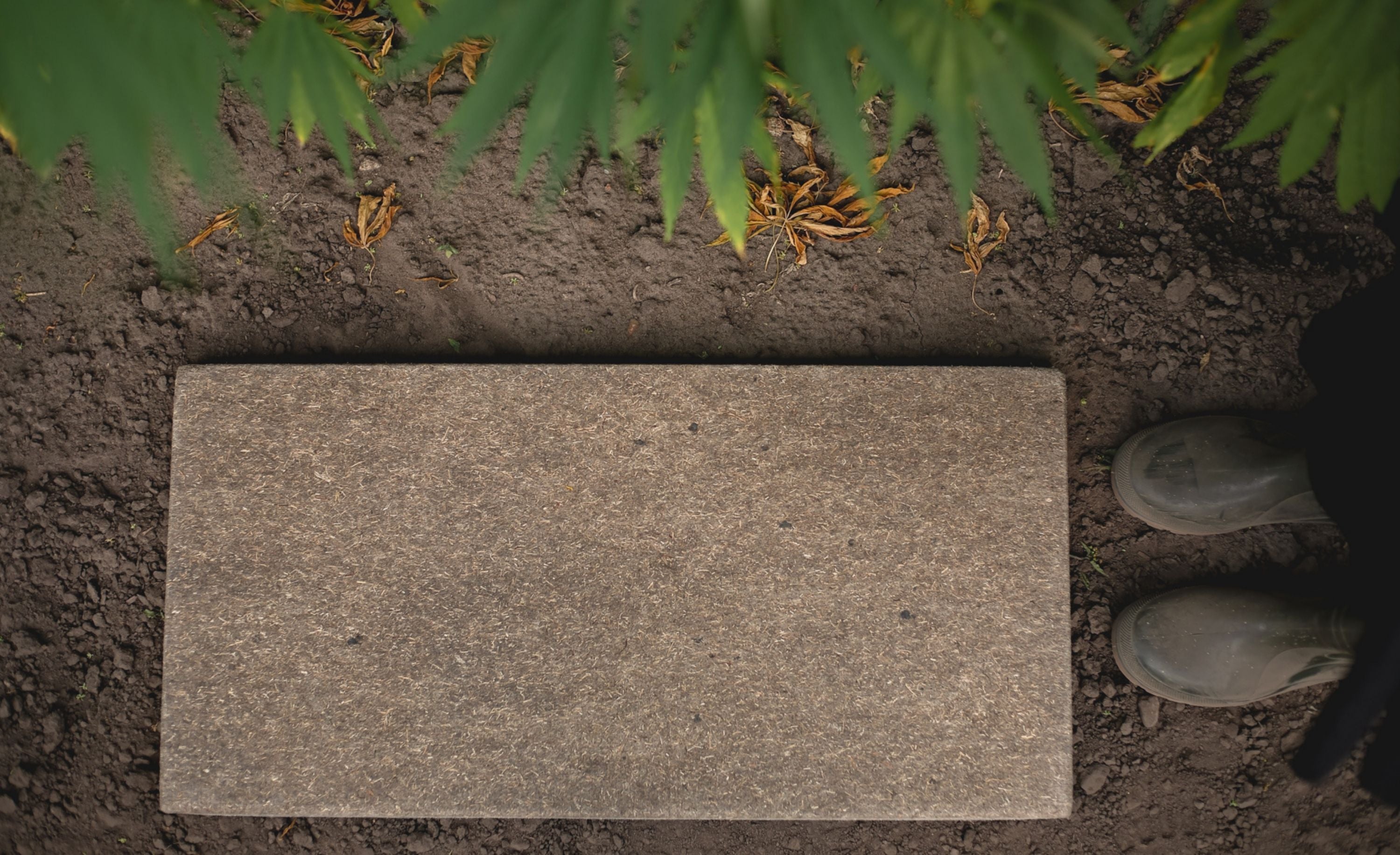 FLACH Akustikwandpaneele