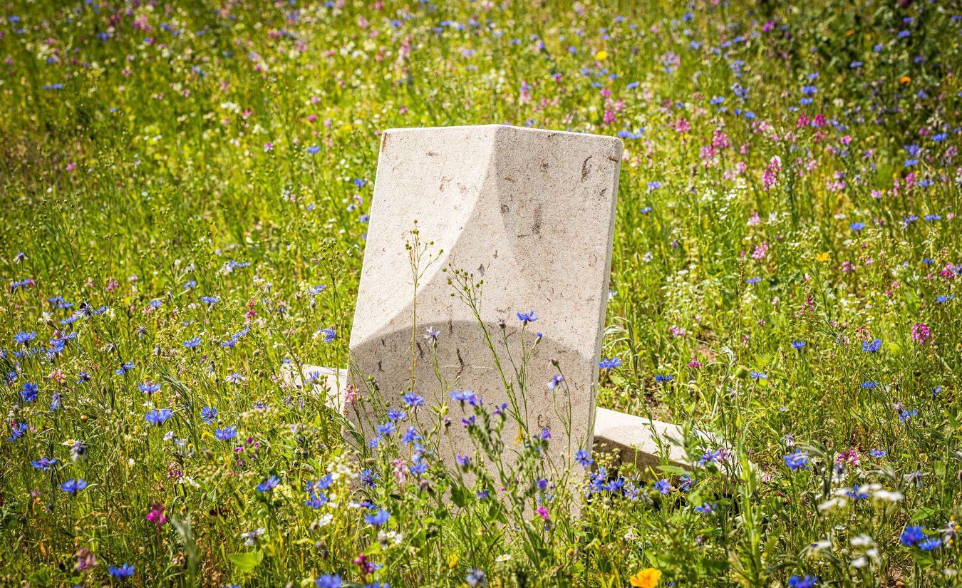 ELLIPSE Acoustic Pod